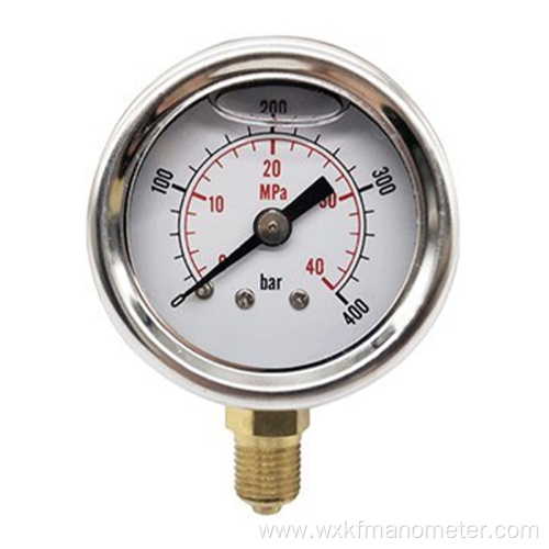 flange Shockproof pressure gauges